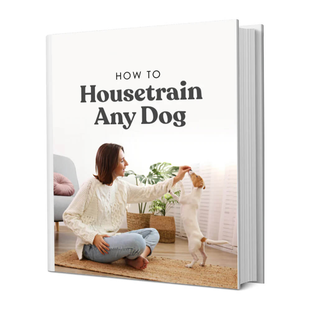 Cover of the e-book 'How to Housetrain Any Dog' featuring an image of a person sitting on a floor with a dog, indicating a focus on practical dog training advice.