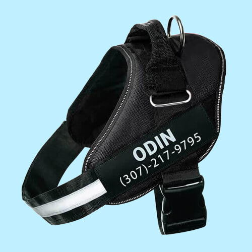 BetterHarness™ Personalized No Pull Dog Harness
