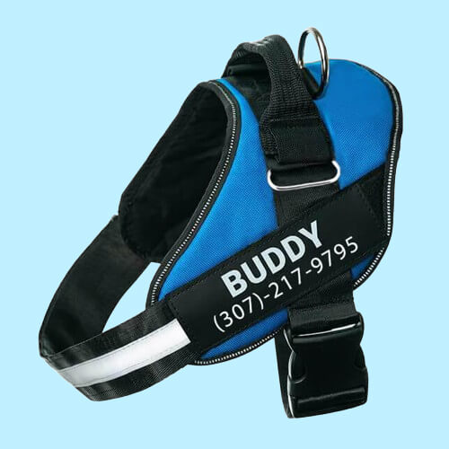 BetterHarness™ Personalized No Pull Dog Harness