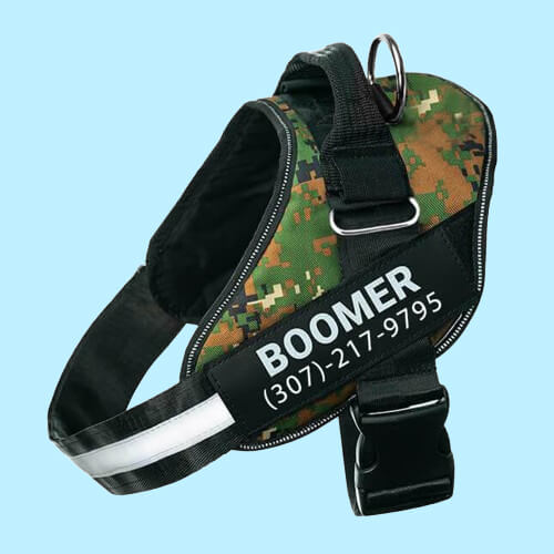 BetterHarness™ Personalized No Pull Dog Harness