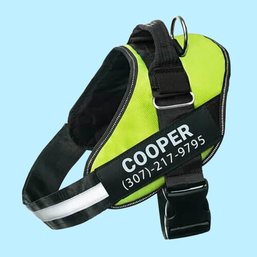 BetterHarness™ Personalized No Pull Dog Harness