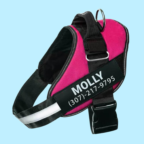 BetterHarness™ Personalized No Pull Dog Harness