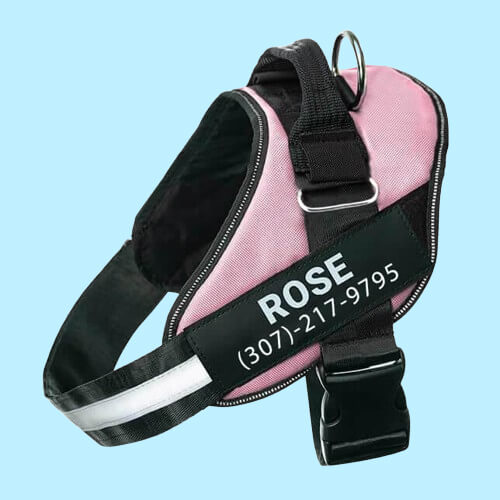 BetterHarness™ Personalized No Pull Dog Harness