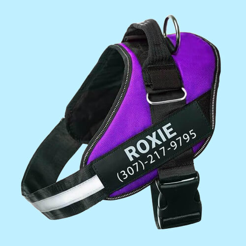BetterHarness™ Personalized No Pull Dog Harness