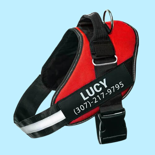 BetterHarness™ Personalized No Pull Dog Harness