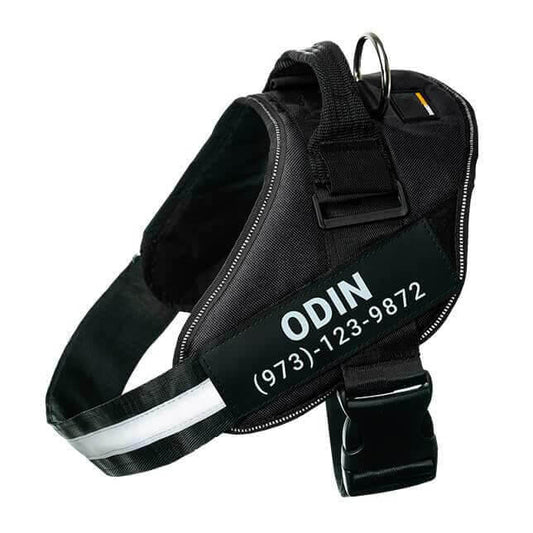 BetterHarness™ Personalized No Pull Dog Harness