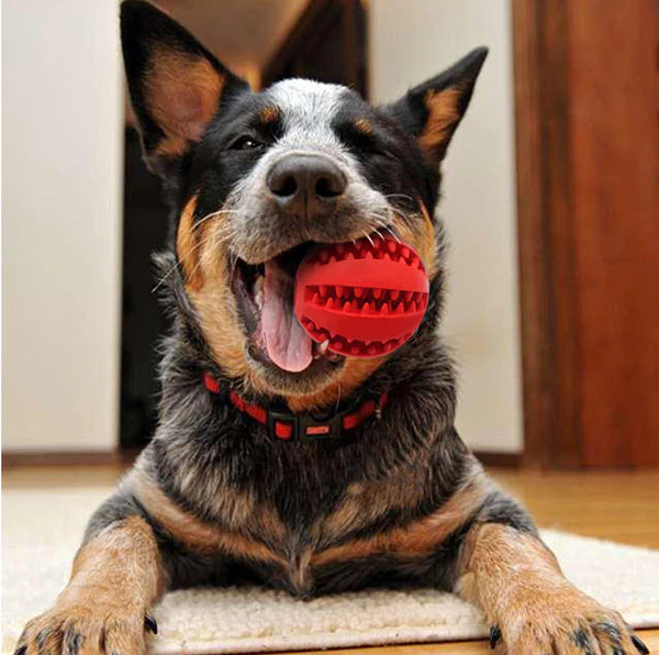 Tooth Cleaning Treats Chew Ball