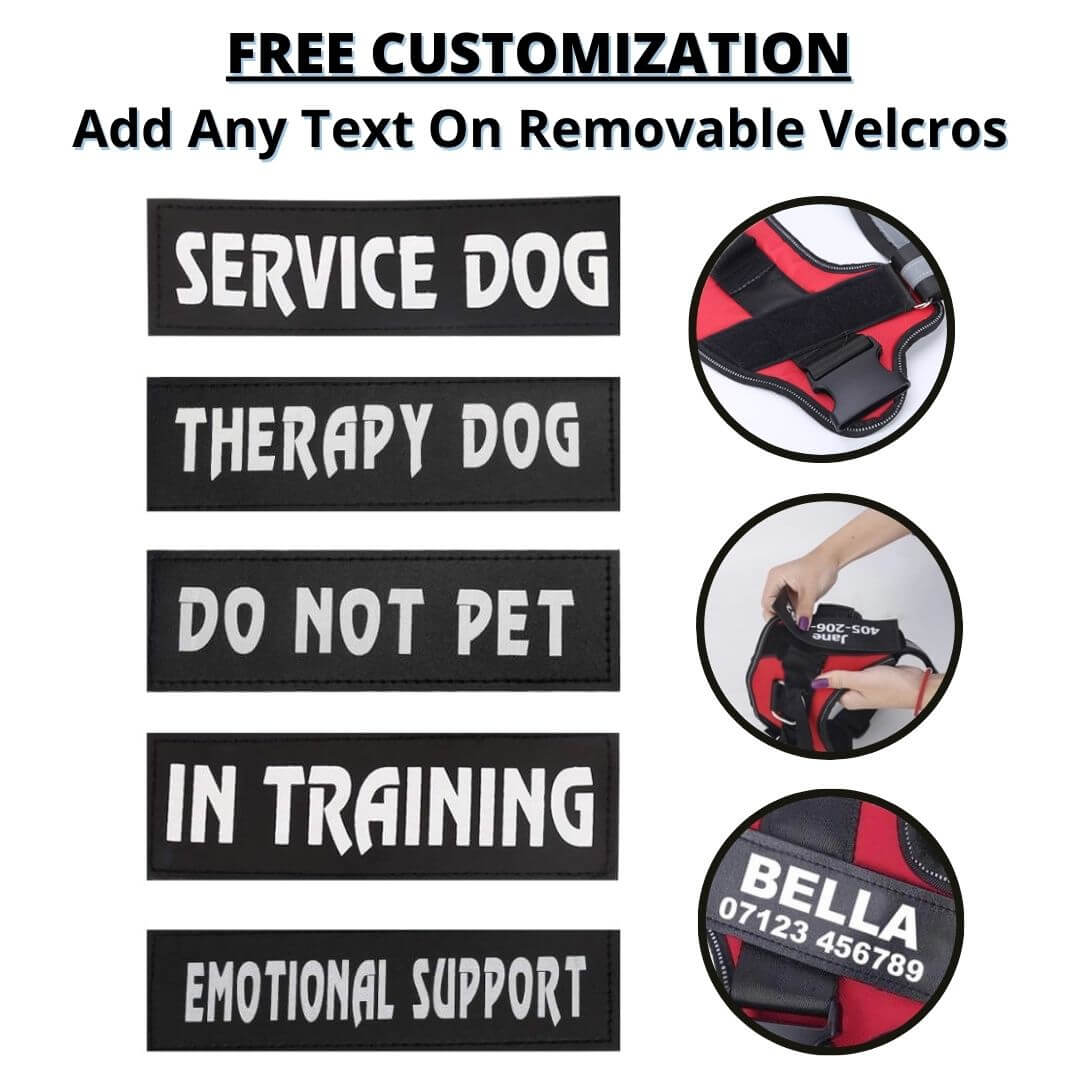 BetterHarness™ Personalized No Pull Dog Harness