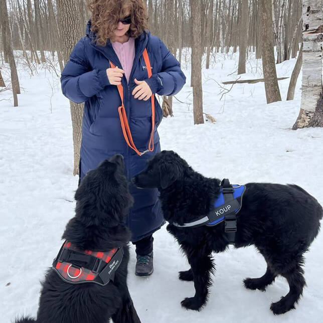 BetterHarness™ Personalized No Pull Dog Harness