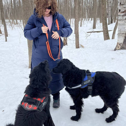 BetterHarness™ Personalized No Pull Dog Harness