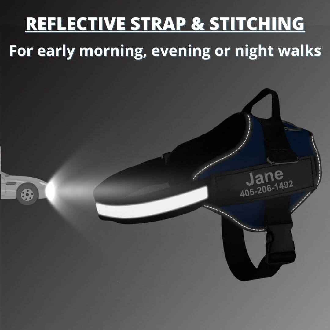 BetterHarness™ Personalized No Pull Dog Harness