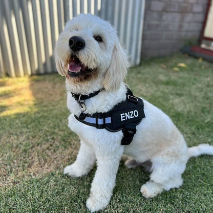 BetterHarness™ Personalized No Pull Dog Harness