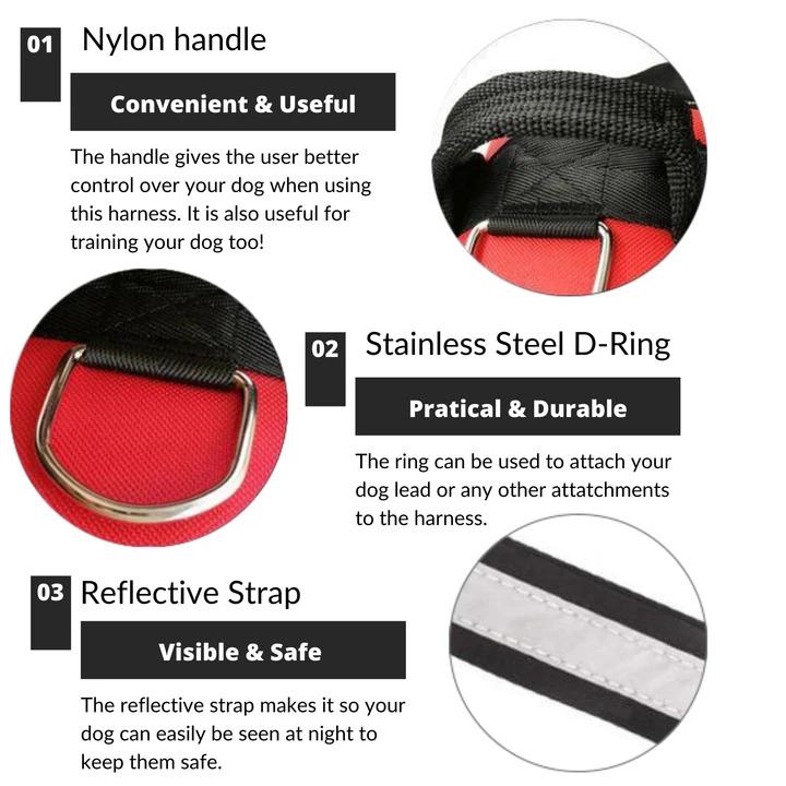 BetterHarness™ Personalized No Pull Dog Harness