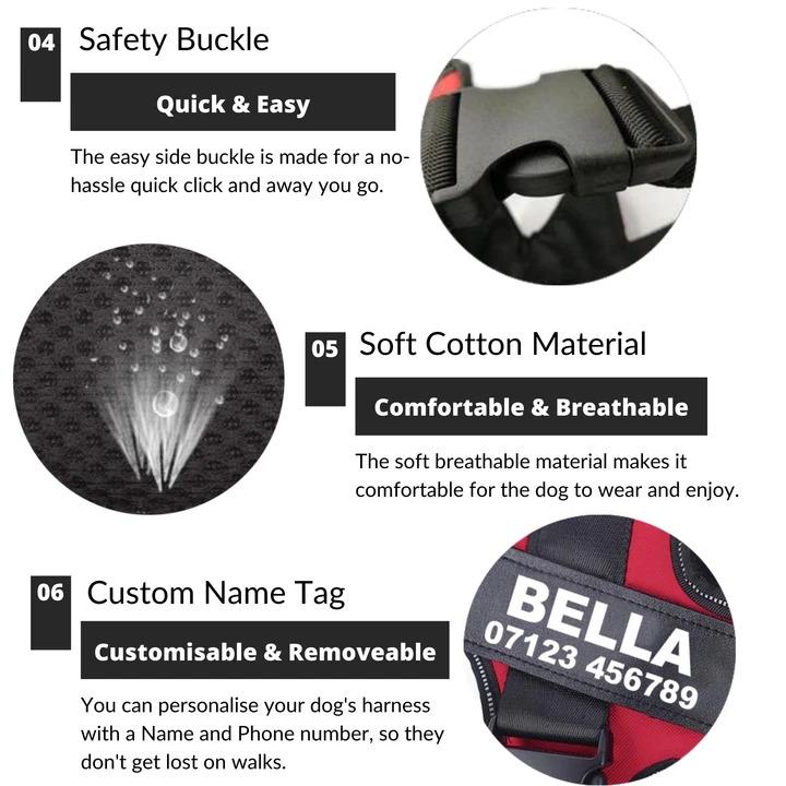 BetterHarness™ Personalized No Pull Dog Harness