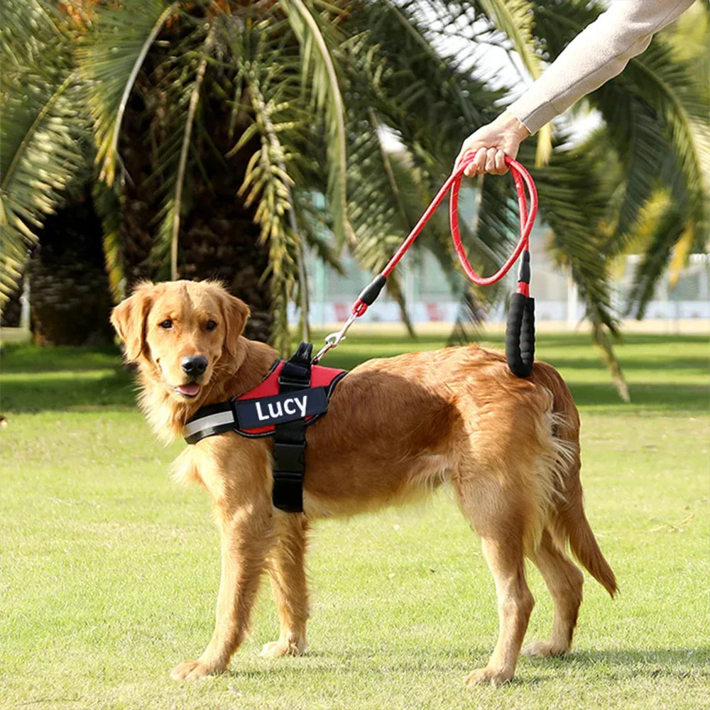 Strong Reflective Dog Leash