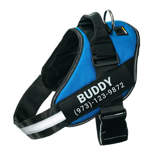 BetterHarness™ Personalized No Pull Dog Harness