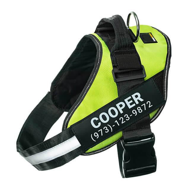 BetterHarness™ Personalized No Pull Dog Harness
