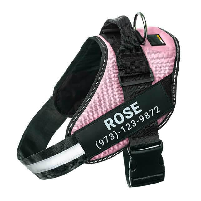 BetterHarness™ Personalized No Pull Dog Harness