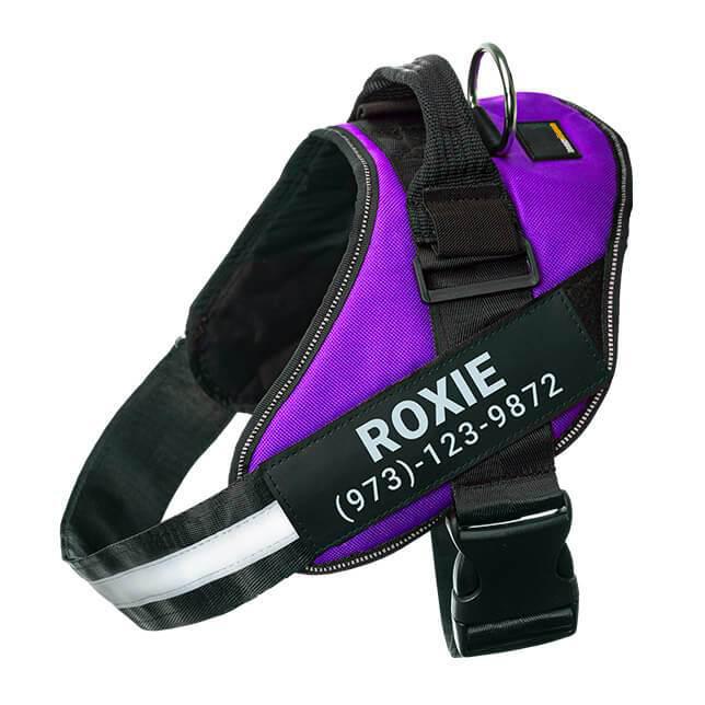 BetterHarness™ Personalized No Pull Dog Harness