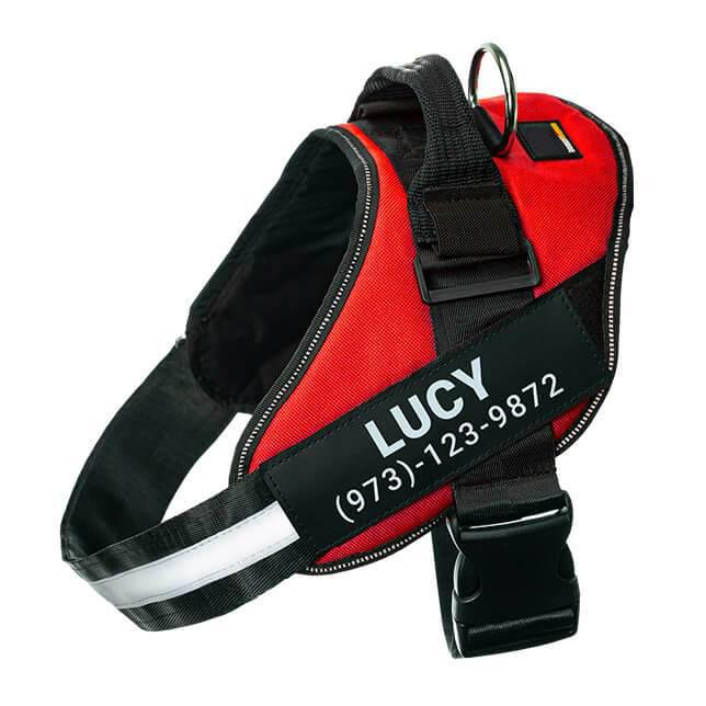 BetterHarness™ Personalized No Pull Dog Harness