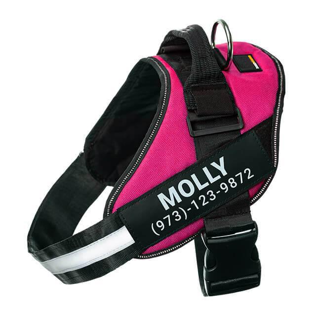 BetterHarness™ Personalized No Pull Dog Harness