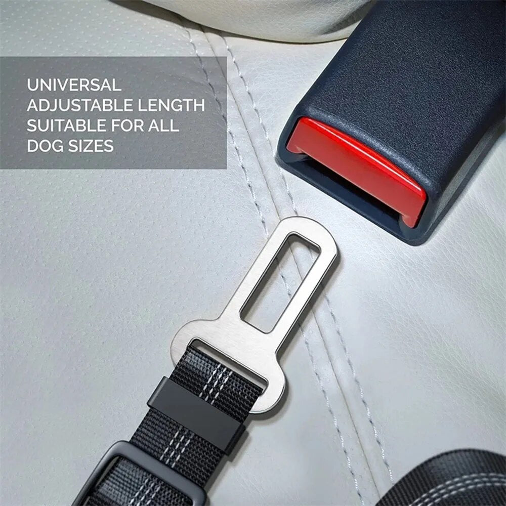 Safety Seat Belt For Dogs