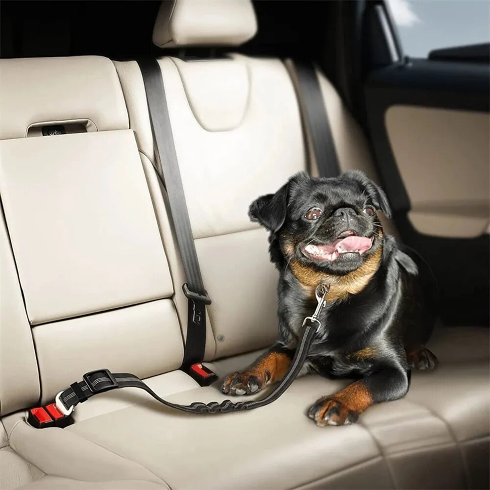 Safety Seat Belt For Dogs